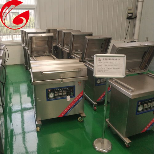 烤鴨小型真空包裝機(jī) 龍邦食品機(jī)械公司